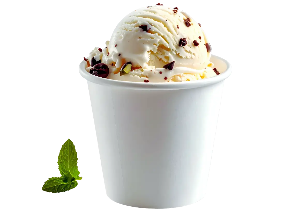 servicio de elaboración de helados para heladerias