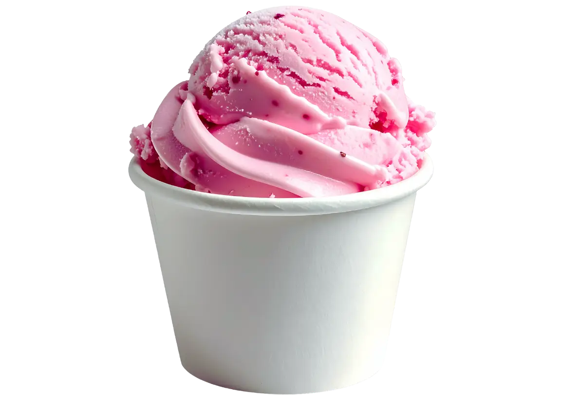 servicio heladero profesional